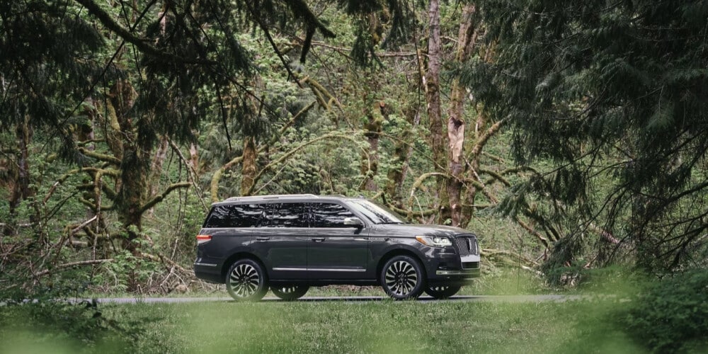 SUV on a forest road surrounded by lush green trees and foliage.
